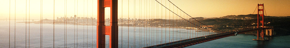 天天鲁一鲁摸一摸爽一爽